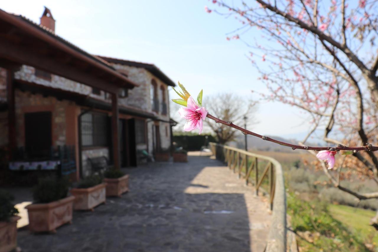 B&B Casale Roshlee Gualdo Cattaneo Extérieur photo